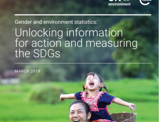 Gender and Environment Statistics: Unlocking Information for Action and Measuring the SDGs