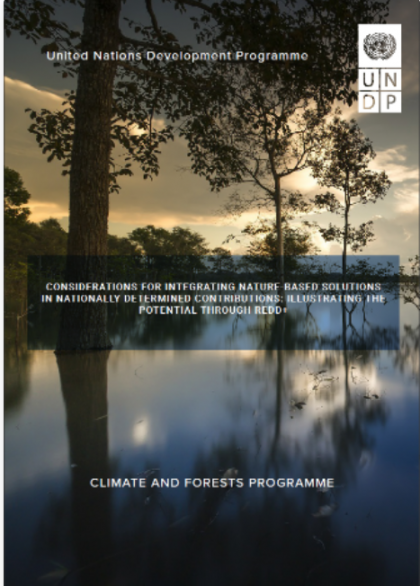 Consideration for Integrating Nature-Based Solutions in NDCs Illustrating the Potential Through REDD+